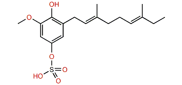 2-Geranyl-6-methoxy-1,4-hydroquinone 4-sulfate